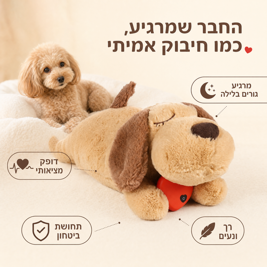 PawHeart™ — חבר מחבק עם פעימות לב